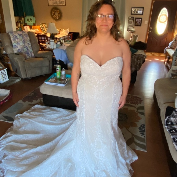 Wedding Dress - Picture 8 of 14